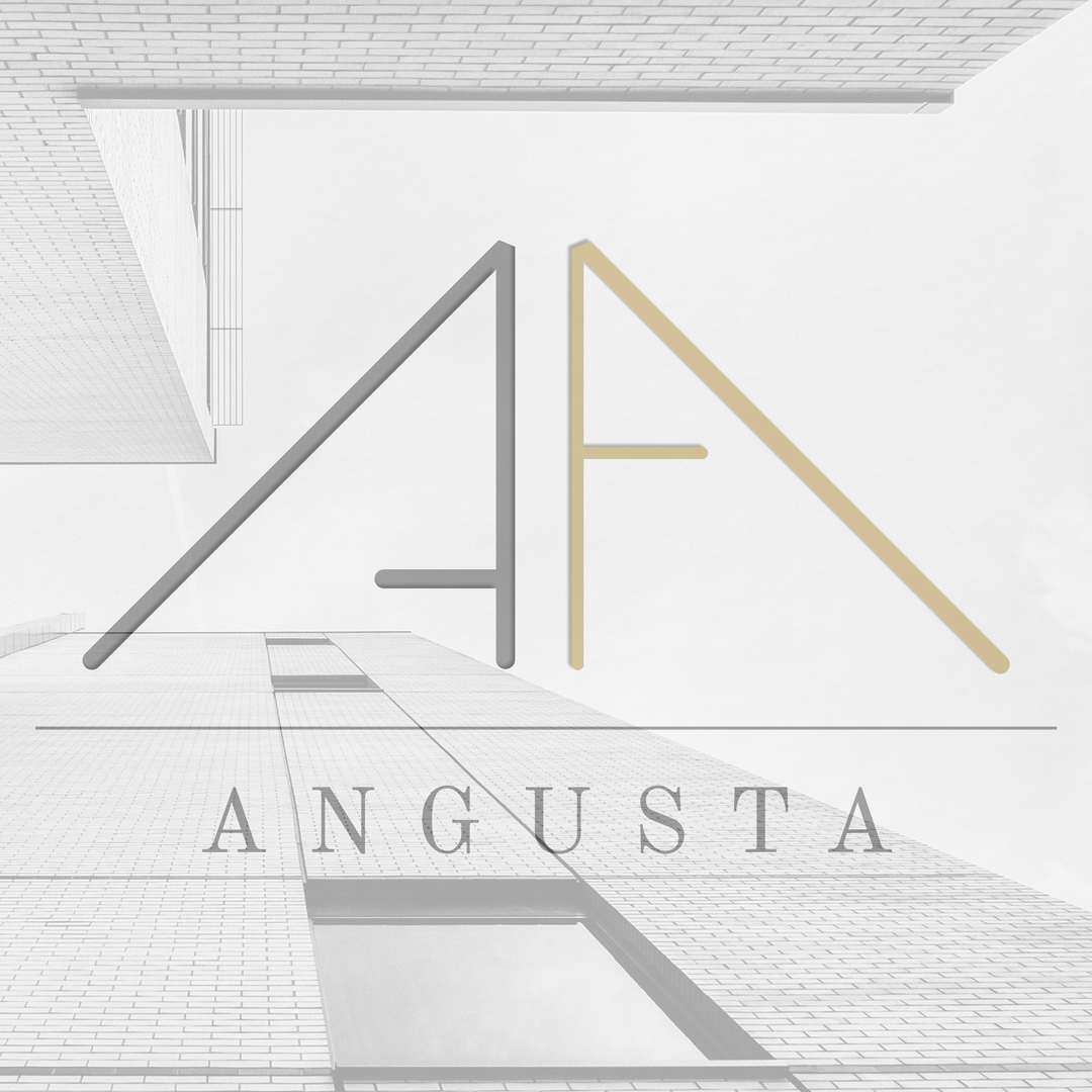 angusta augusta immobilier real estate managment renting sales paris lyon chine logo branding print del-ightful delphine morichon illustration graphic design webdesign stockholm sweden sverige