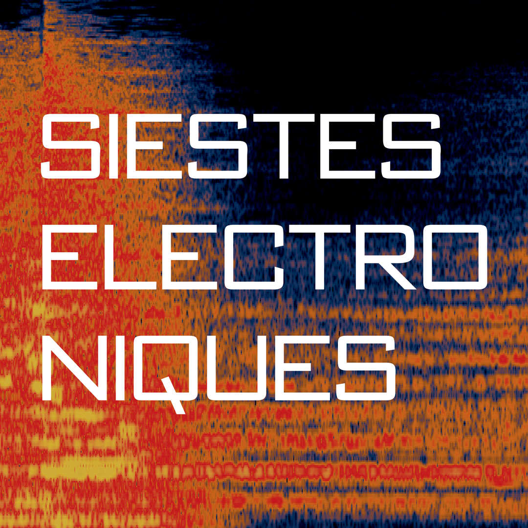 siestes electroniques musical event electronic music electro summer festival conceptual branding lyon france del-ightful delphine morichon illustration graphic design webdesign stockholm sweden sverige
